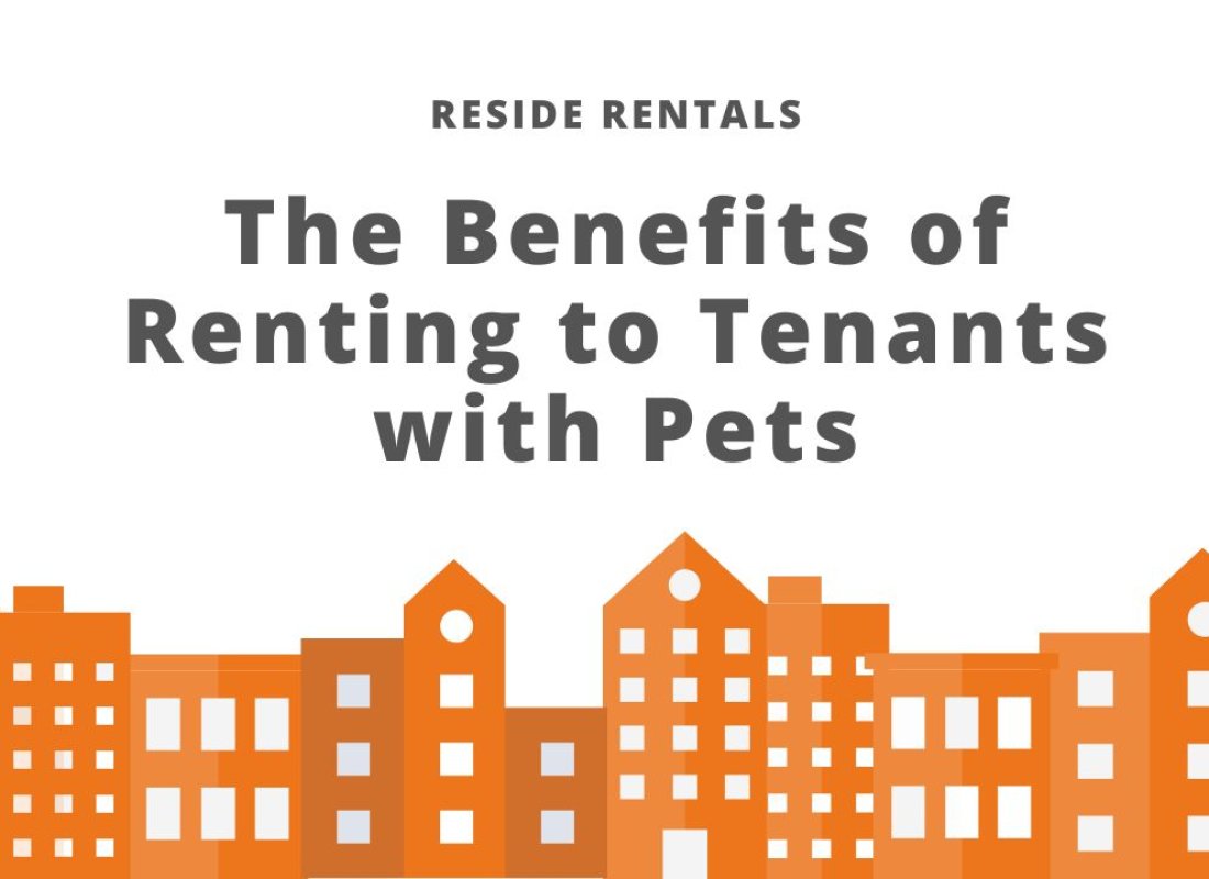 The Benefits of Renting to Tenants with Pets