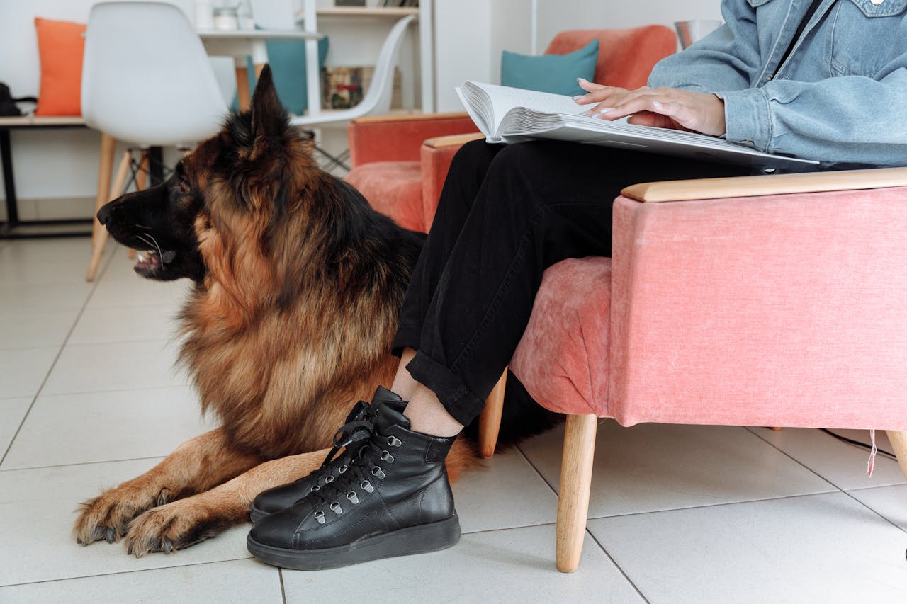 Reside-Rentals-service-dog Reside-Rentals-service-dog