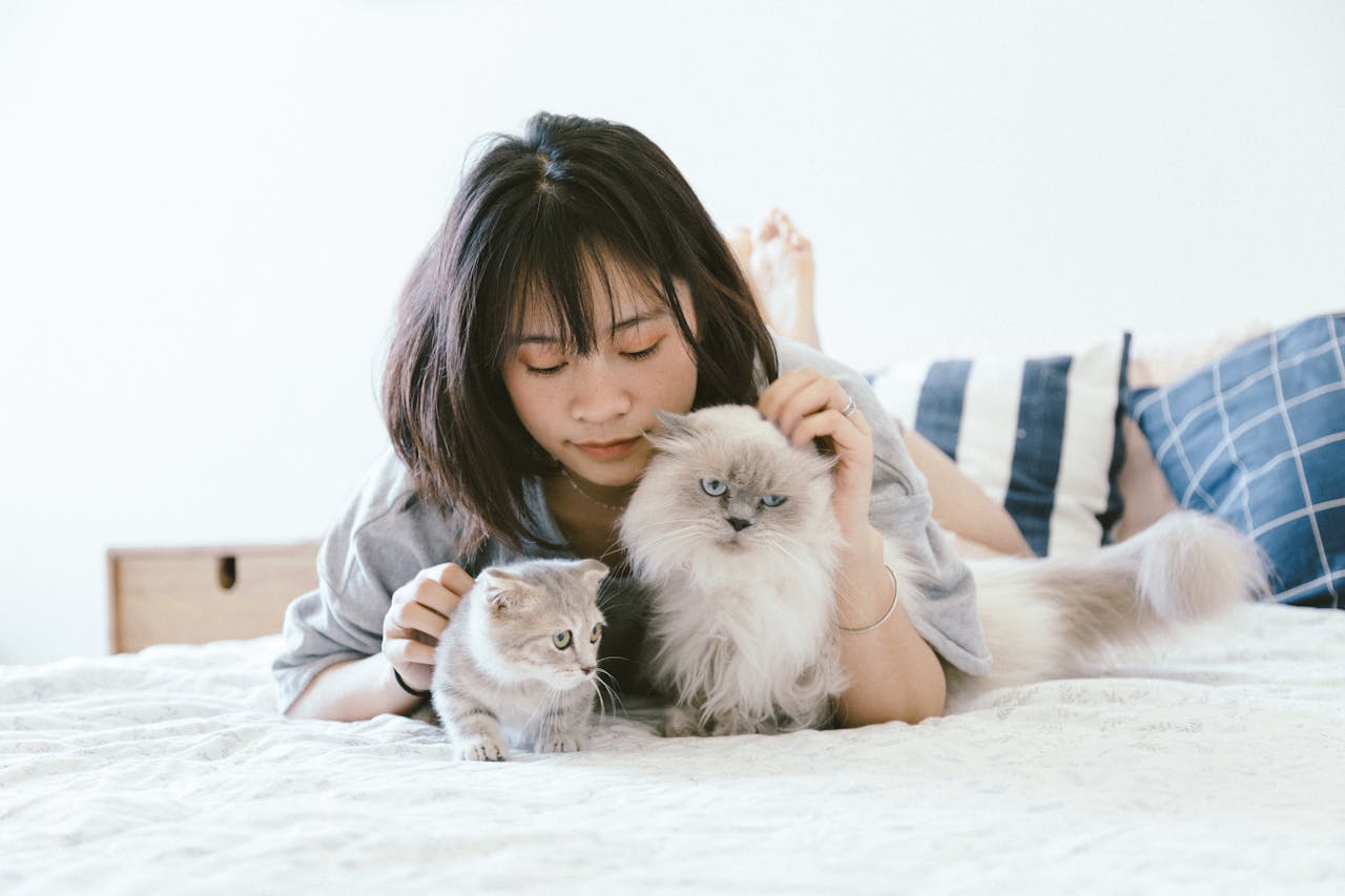 Reside-Rentals-tenant-with-pets Reside-Rentals-tenant-with-pets